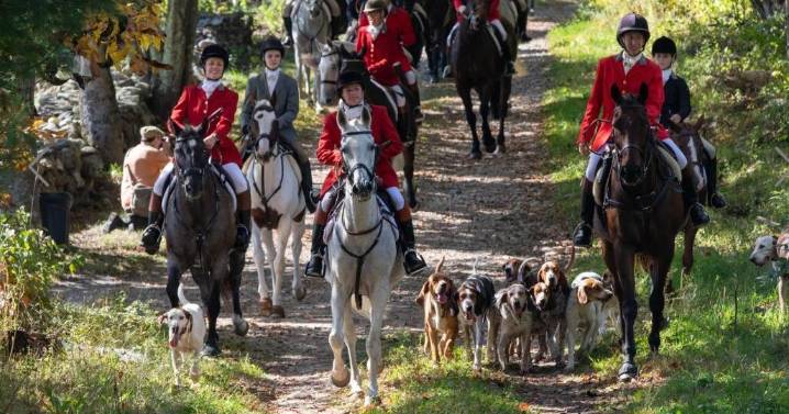 Fox  hunting tradition carries on in NH