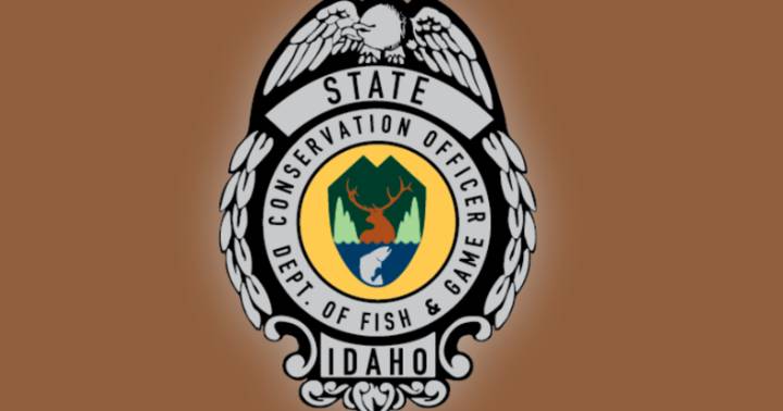 Idaho Fish and Game asks for help solving wildlife crimes near Osburn