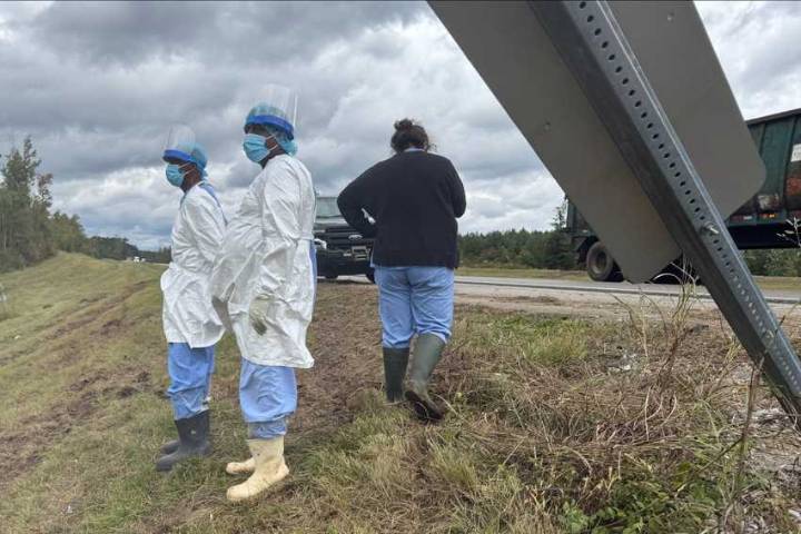 3 lab monkeys from Covington still on the loose after truck overturns on highway