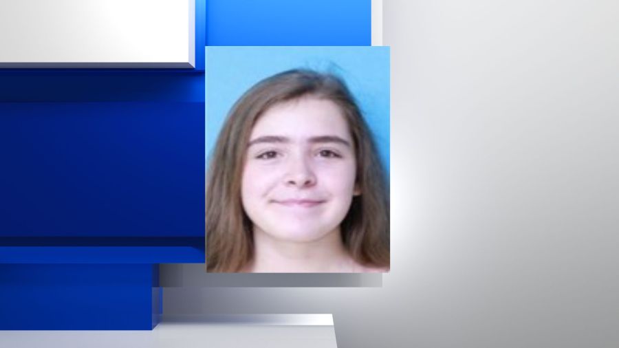 Northport police searching for missing 18