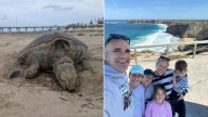 Coastal diners score big cashback as scheme launches across South Australia