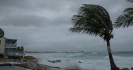 New Scorecard Reveals Which States Prepared for Climate Health Threats