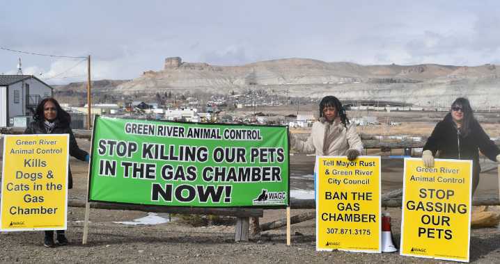 Green River City Council To Vote on Ban of Gas Euthanasia for Animal Shelter