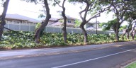 Downed communication cables spark concerns on Maui