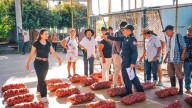 Por el norte y el sur de Casanare se reparte papa boyacense a damnificados