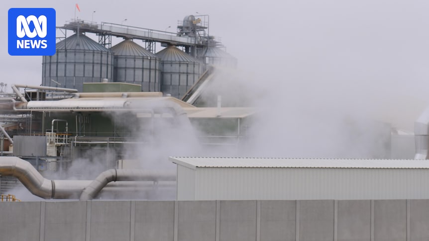 GrainCorp settles class action over noise and odour pollution in Numurkah