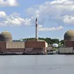 Is NY going nuclear? Not anytime soon, energy analysts say.