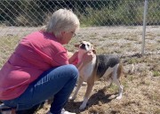 CRISIS MODE: Pawhuska animal shelter at risk of closing