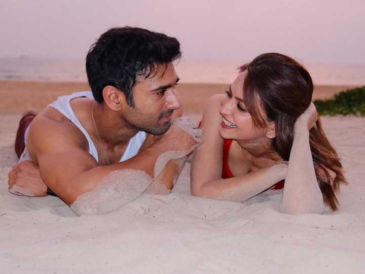 Pulkit Samrat sends romantic birthday wishes to Kriti Kharbanda