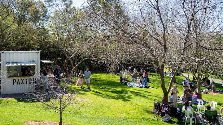 TillyBelle's Bar opens, bringing wine picnics, chill tunes and relaxed Friday nights to McLaren Vale
