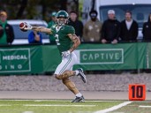huskies | Chatham This Week