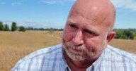 Farmers speak out as Trump's tariffs slam crops