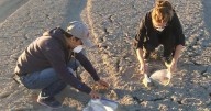 Imperial Valley's next generation at risk from Salton Sea's toxic dust, doctors warn