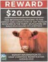 More Livestock Killings Reported In Duchesne County; Reward Offered