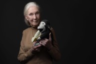 A los 91 años. Murió Jane Goodall, la reconocida primatóloga británica