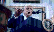 Trump decide que EE.UU. está en guerra formal con los cárteles de la droga