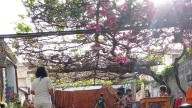 Este fin de semana se realizará la "Qhatu Feria" en la Capital
