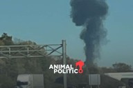 Tres mexicanos murieron tras accidente de avión privado en Michigan, EU, confirma SRE