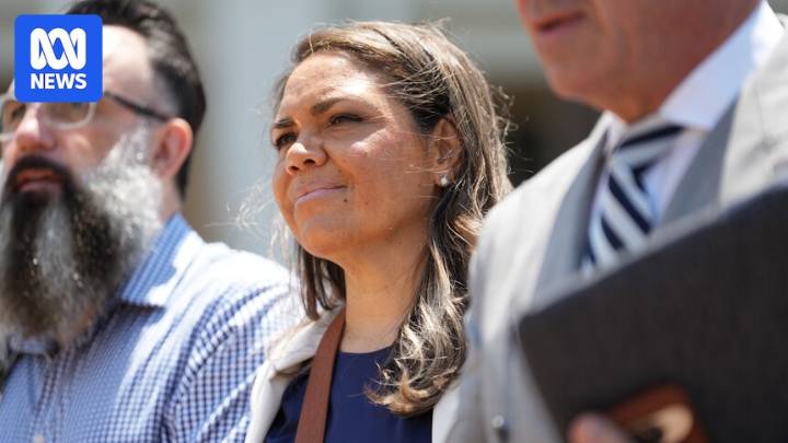 Court documents reveal land council boss offered to settle senator's defamation claim for $60k