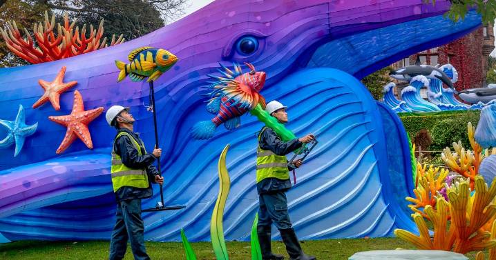Chinese lanterns return to Edinburgh Zoo in spectacular light display