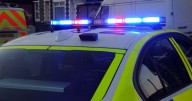 Man and his dogs injured in Maidstone collision