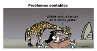 Problemas contables