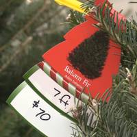 Kiwanis Club and RSU 68 prepare for annual giving program