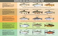 Pesca ilegal en el río Milna