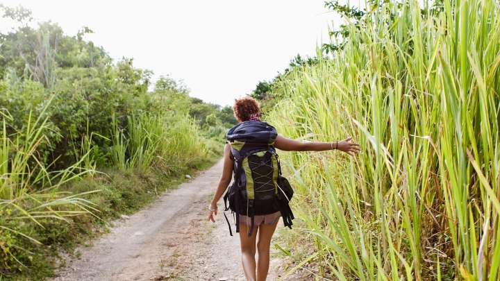 El pueblo vallecaucano que lleva la música en sus venas, ideal para el ecoturismo