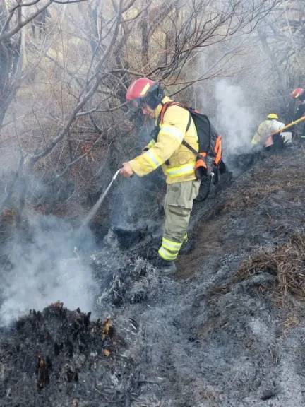 Contuvieron un incendio forestal en la zona norte del Parque Nacional Lanín