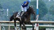 Sovereignty, Journalism headline loaded Breeders’ Cup Classic pre