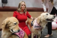 Therapy dog awakens woman from coma at Pembroke Pines hospital