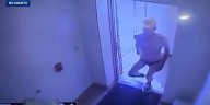 Man wearing speedo breaks into Hillsborough County Sheriff’s office