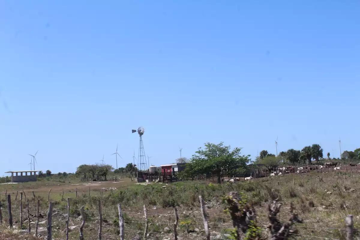 El pasado africano de Yucatán: la historia del poblado afrodescendiente de Tizimín