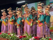 Rota podrá solicitar actuaciones del programa Carnaval 2026 de la Diputación de Cádiz