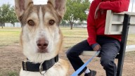 After 117 days at AAMW, Flynn finds the perfect family