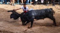Onda supera el ecuador de la Fira 2025 con una jornada repleta de música, toros y ambiente festivo