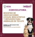 Gobierno de Tecate invita a registro de asociaciones, rescatista y refugios animales.