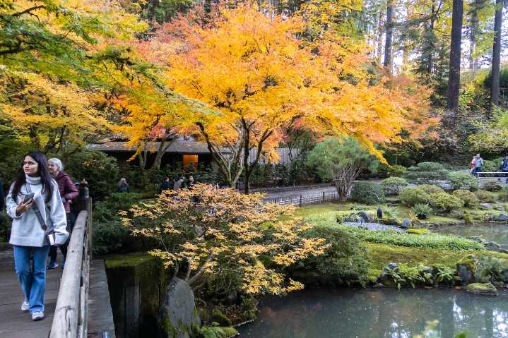 Portland Japanese Garden extends hours for leaf peepers this fall