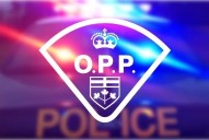 Disturbance call results in impaired charges in PEC