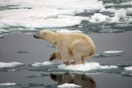How Arctic ice melt is linked to India’s floods