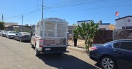 Madre señala traumas en su hijo tras ataque de pitbull