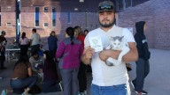 Brinda Municipio más de mil servicios gratuitos a mascotas en Punta Oriente