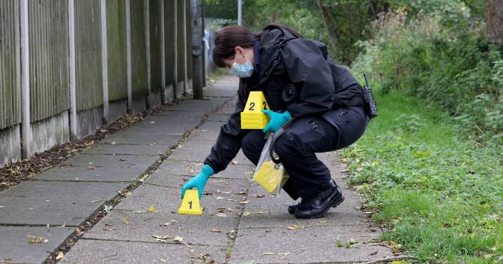 Teenager stabbed after thugs 'attacked people with knives and machetes'