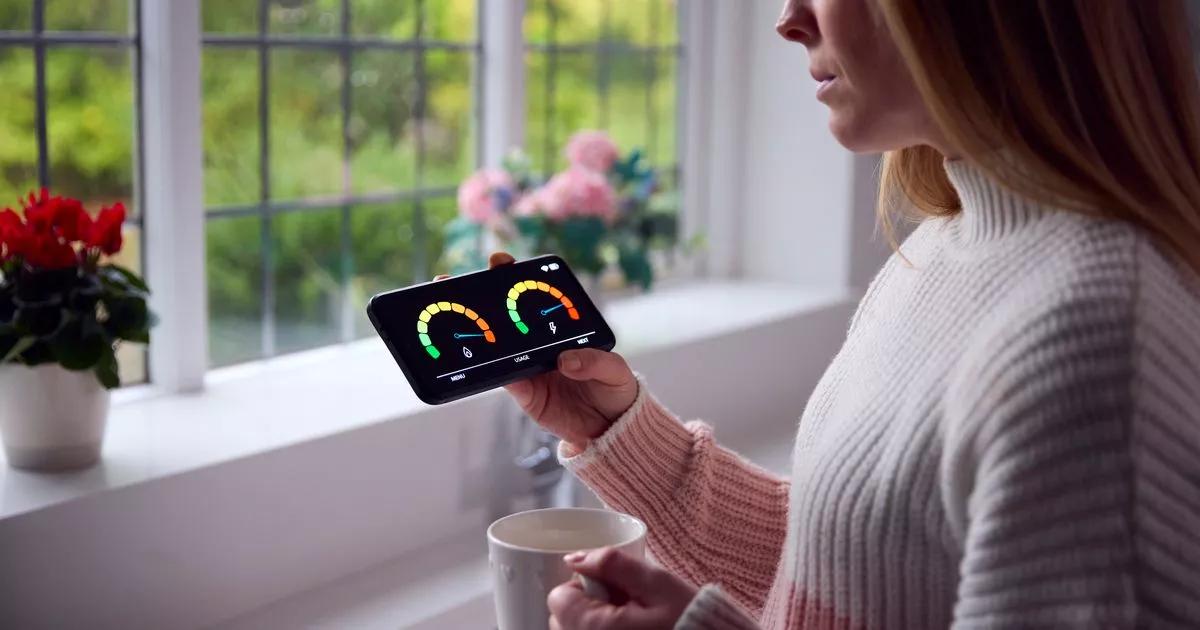 British Gas, Octopus, EDF, EON and OVO customers face £100 energy bills hike