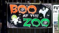 Roosevelt Park Zoo embraces the spooky season, hosts annual Boo at the Zoo event