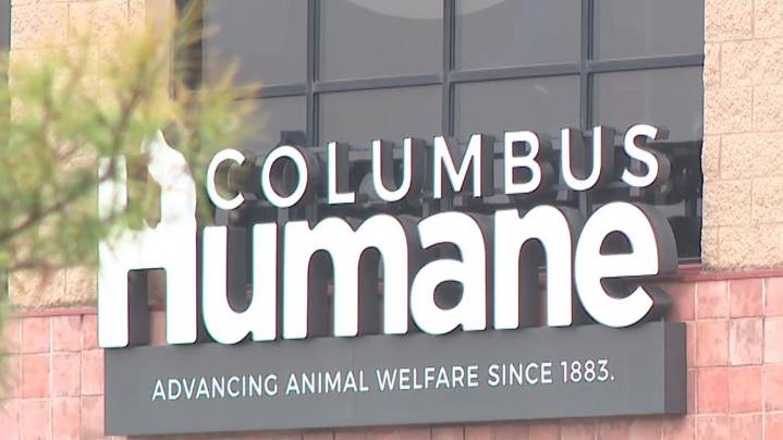 Columbus Humane takes dog into custody following abuse claims; charges pending