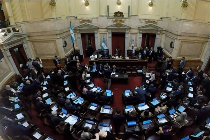 Senado: buscarán revertir los vetos a las leyes del Garrahan y Universidades