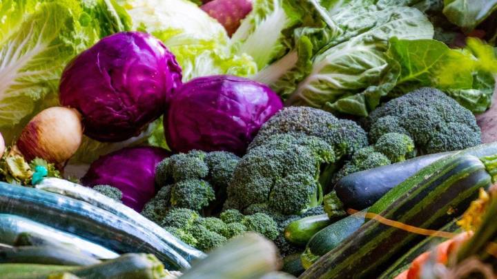 Por qué hoy es el Día Mundial de la Alimentación