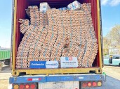 Video | Arica: Descubren 400 mil huevos ocultos en camión “vacío” que venía desde Bolivia